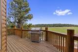 910 Appaloosa Dr - Photo 49
