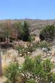 2245 Santa Maria Ct - Photo 49