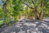 305 Rachel Ln - Photo 51