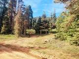 5550 North Fork Rd - Photo 26
