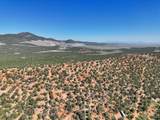 20 acres Off Highway 56 - Photo 17