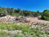 20 acres Off Highway 56 - Photo 22