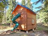 250 Silver Spruce Dr - Photo 11