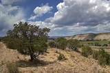 2 Hilltop - Photo 2