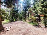 5470 Berry Loop - Photo 19
