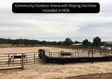  Lot 44 Harmony Mountain Ranch - Photo 7