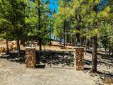 2945 Comanche Dr - Photo 38