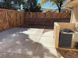 1118 Chokeberry Dr - Photo 20