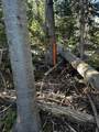 115 Olympic Dr - Photo 10