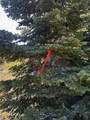 115 Olympic Dr - Photo 11