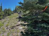 115 Olympic Dr - Photo 13