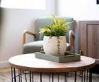 875 Akoya Pearl - Photo 6