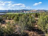  Prickley Pear Cir/Pinyon Pine - Photo 11