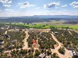  Prickley Pear Cir/Pinyon Pine - Photo 14