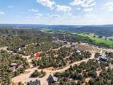  Prickley Pear Cir/Pinyon Pine - Photo 15