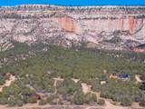  Prickley Pear Cir/Pinyon Pine - Photo 18