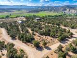  Prickley Pear Cir/Pinyon Pine - Photo 3