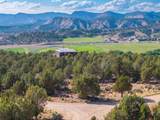  Prickley Pear Cir/Pinyon Pine - Photo 4