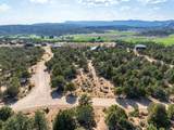  Prickley Pear Cir/Pinyon Pine - Photo 5