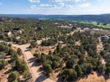  Prickley Pear Cir/Pinyon Pine - Photo 6