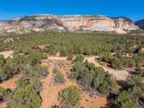  Prickley Pear Cir/Pinyon Pine - Photo 8
