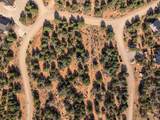  Prickley Pear Cir/Pinyon Pine - Photo 9
