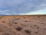  40Acres #E-0721-0000-0000 - Photo 6