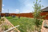 253 4300 - Photo 34