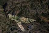 2235 Chekshani Cliffs - Photo 2