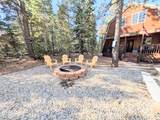 295 Porcupine Dr - Photo 27
