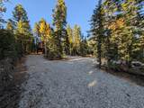 295 Porcupine Dr - Photo 44