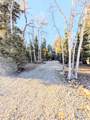295 Porcupine Dr - Photo 46