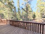 295 Porcupine Dr - Photo 51