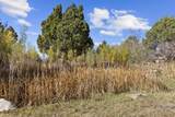 934 Cedar Highlands Dr - Photo 52
