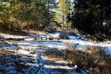 1505 Elk Ridge Dr - Photo 44