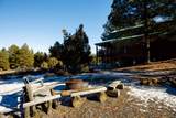 1505 Elk Ridge Dr - Photo 45