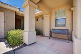 2602 Spring Canyon - Photo 45