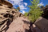  Zuni - Photo 5