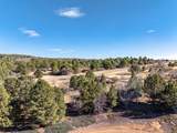 6 North Fork Rd - Photo 22