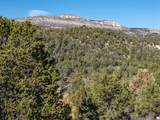 6 North Fork Rd - Photo 49