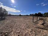 2591 Desert Drive - Photo 47