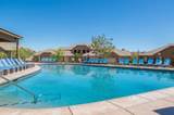 4206 Torrey Pines Dr - Photo 26