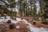 3185 Sugar Pine Rd - Photo 50