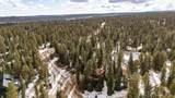 3185 Sugar Pine Rd - Photo 52