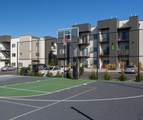 266 590 - Photo 14