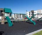 266 590 - Photo 15