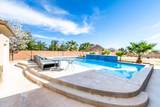 325 River Willow Ln - Photo 49