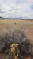7525 8200 - Photo 5