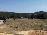 1520 Johnny Brown Parkway - Photo 4