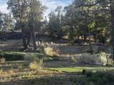 1520 Johnny Brown Parkway - Photo 40